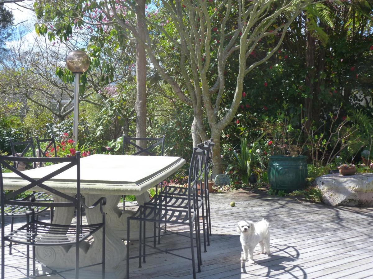 Fred&Donz Bed And Breakfast Taupo Dış mekan fotoğraf